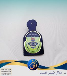 پلیس امنیت عمومی