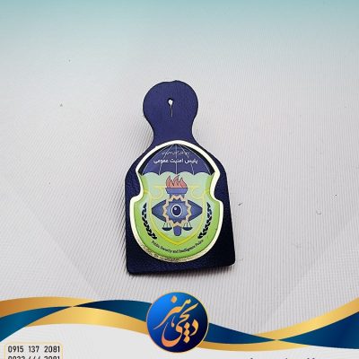 پلیس امنیت عمومی